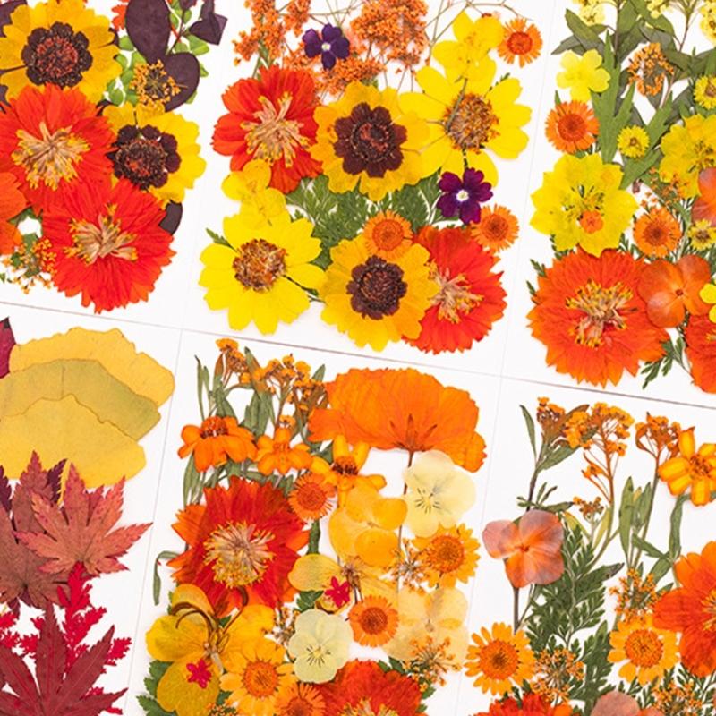 Resin Craft Ideas - Gedroogde geperste bloem voor hars mallen