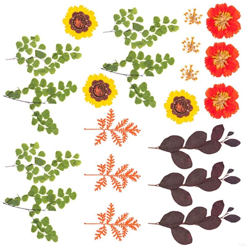 Gedroogde geperste bloem voor  - Resin Craft Ideas recensie en prijs